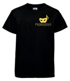Prominence Academy The Audition The Musical Show T-Shirt